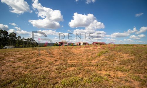 denise-rosasco_entre-verdes-13