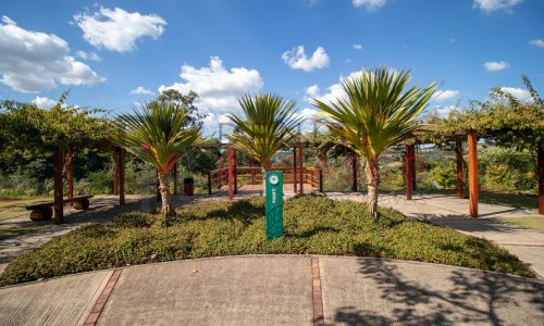 denise-rosasco_entre-verdes-20